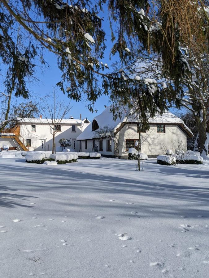 Neuenkirchen Moritzhagen Apartamento