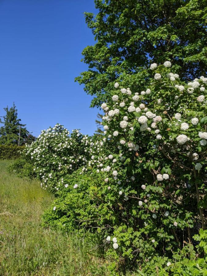 Neuenkirchen Moritzhagen Neuenkirchen (Landhagen)